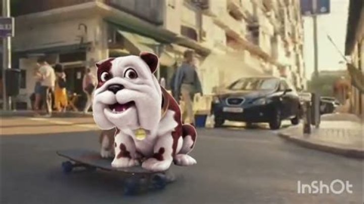 Does the bulldog in the churchill advert really skateboard?