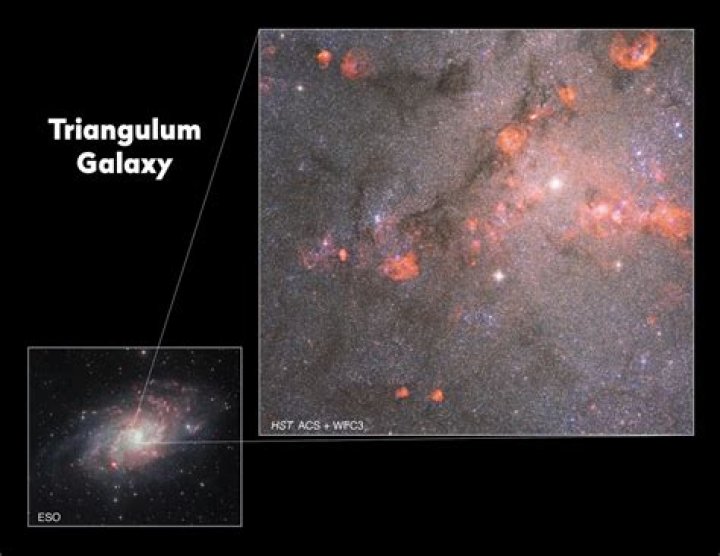 Does the triangulum galaxy have planets?