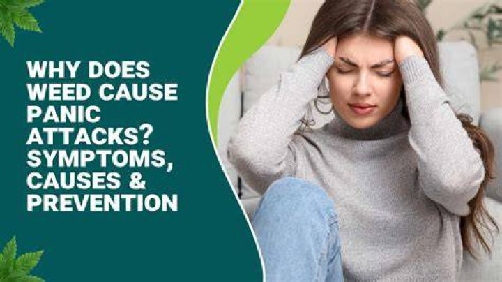 Does weed cause seizures?