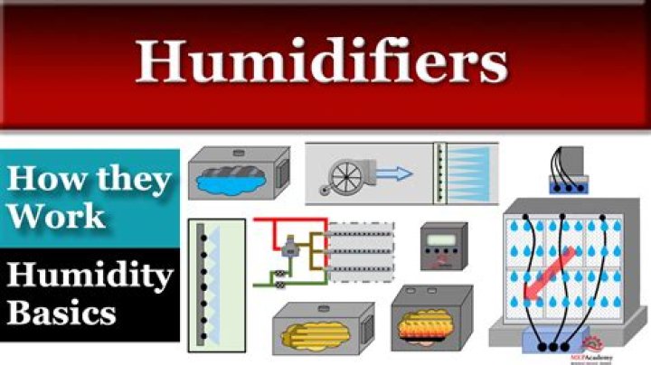 During humidification process specific humidity?
