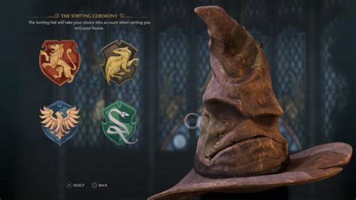 Has the sorting hat ever been wrong?