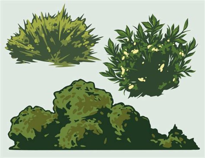 Has trees and bushes?