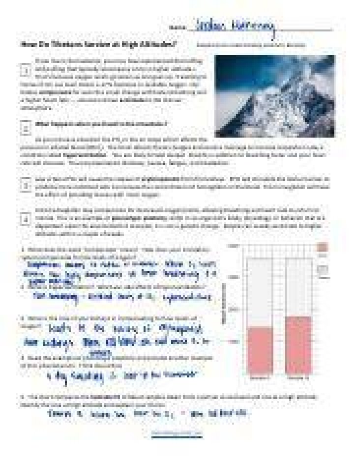 How do tibetans survive at high altitudes?