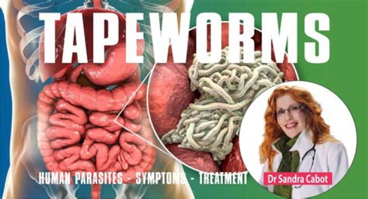 How do you get a tapeworm in your body?