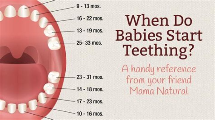How early can babies start teething?