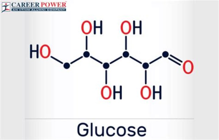 How is glucose formed?