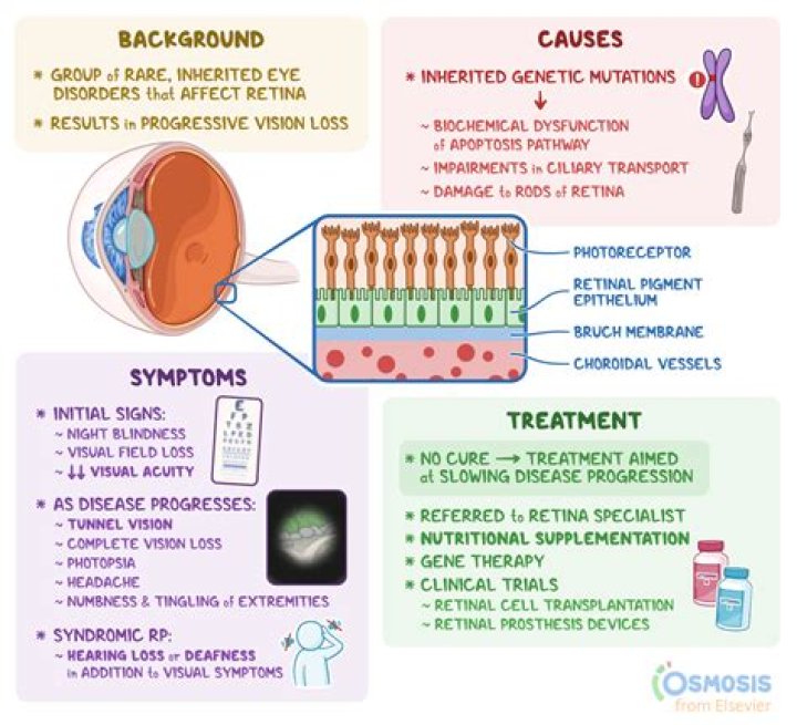 How is opsin used?