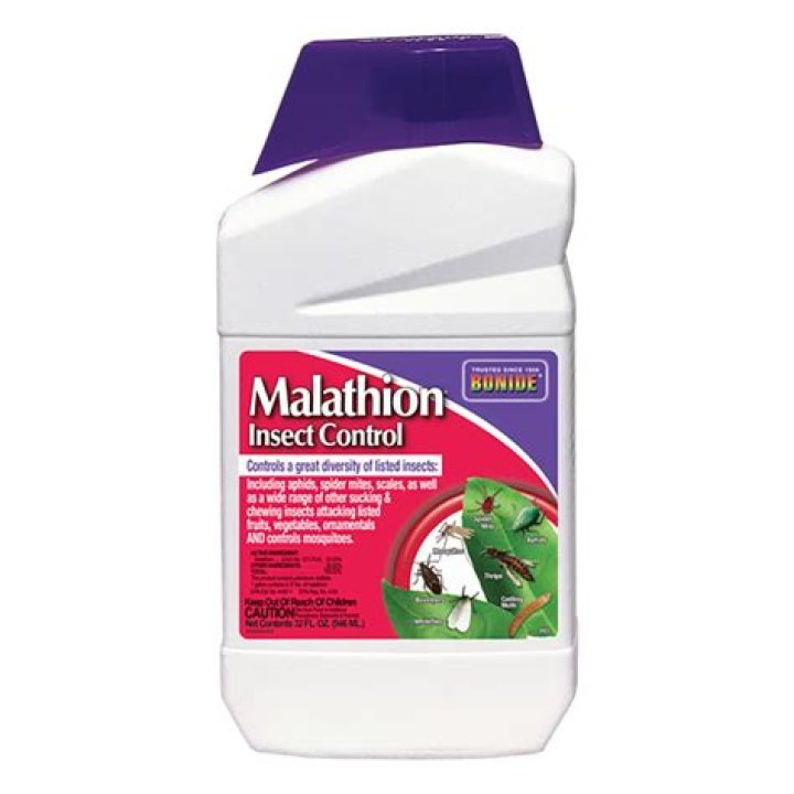 How malathion liquid works?