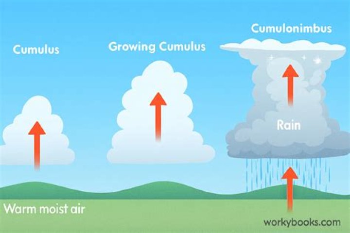 How much does a cumulus cloud weigh?