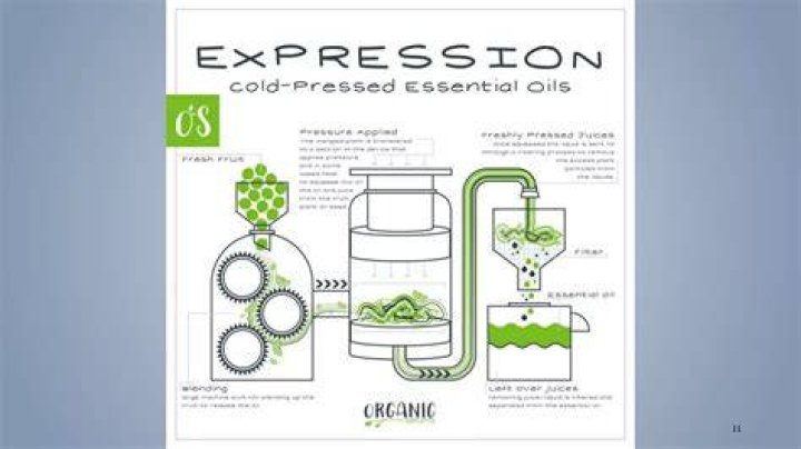 How oleoresin is extracted?