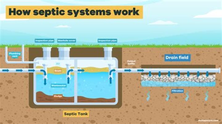 How septic systems work?