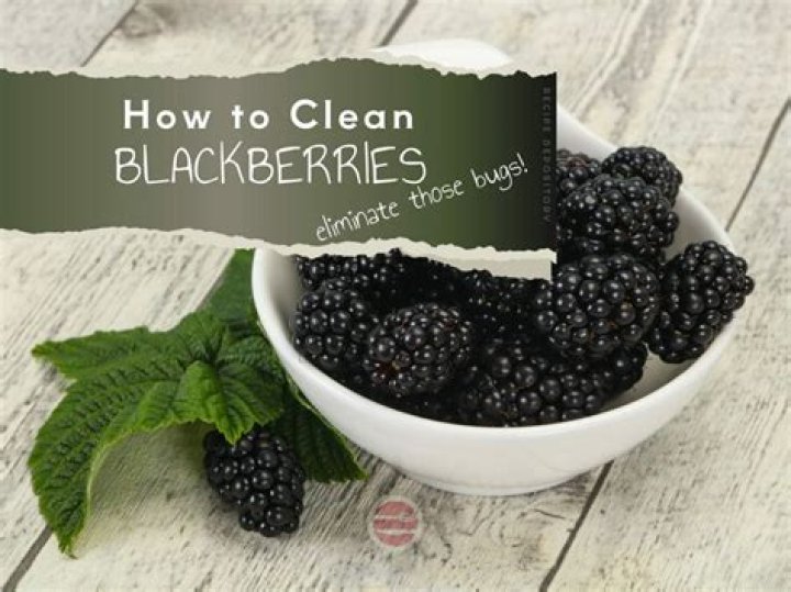 How to clean blackberries?
