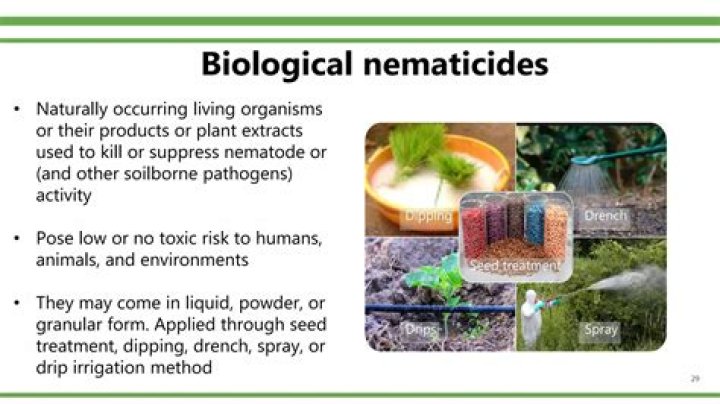 How to treat nematicides?