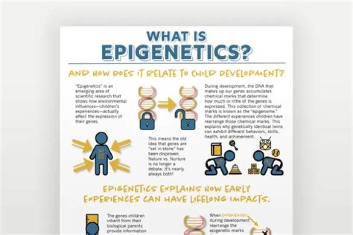 How to use epigenesis in a sentence?