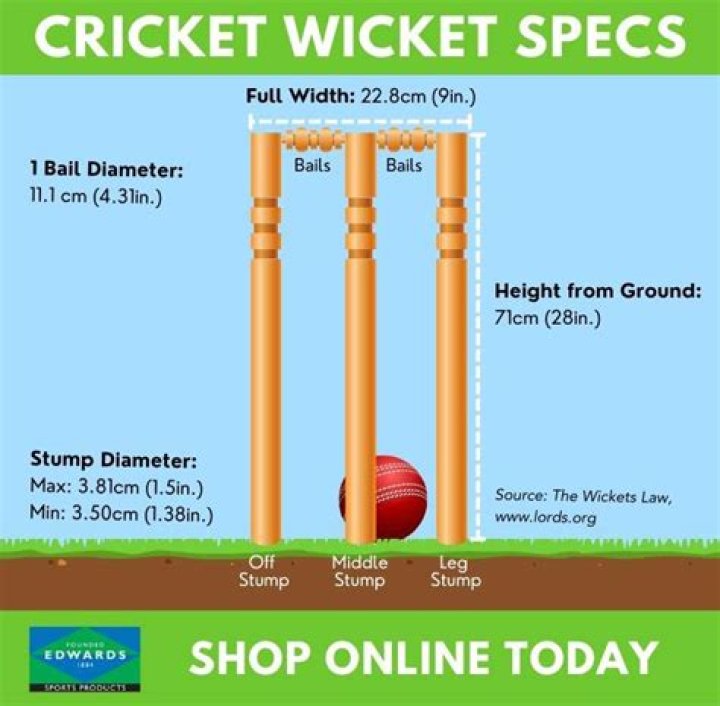 How to wicket in cricket?