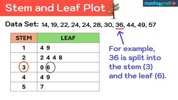 In a stem-and-leaf display?