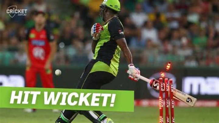 In cricket what is hit wicket?