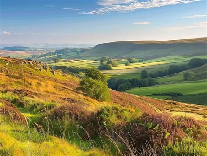 In the yorkshire moors?
