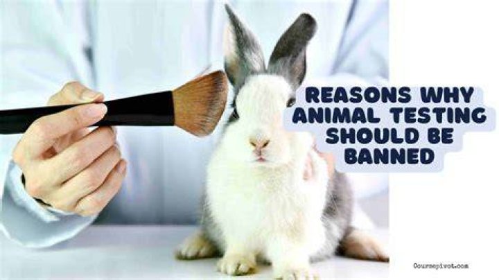 Is animal testing should be banned?