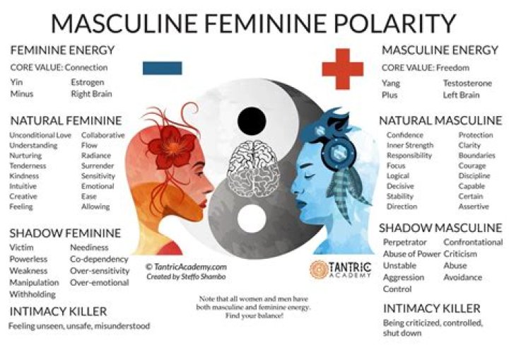 Is avocat masculine or feminine?