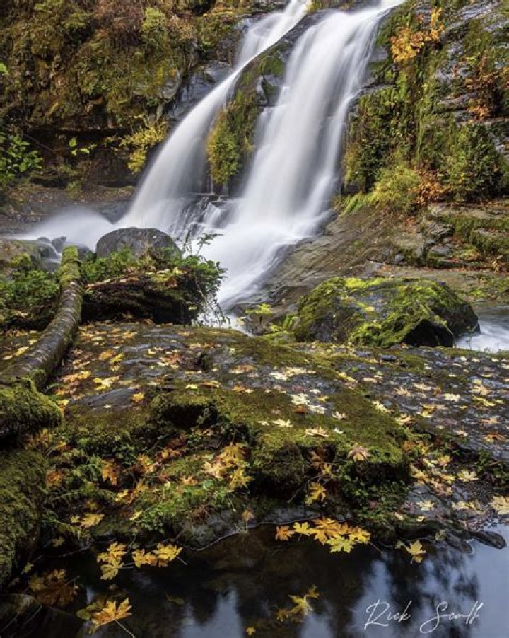 Is coquille oregon a good place to live?