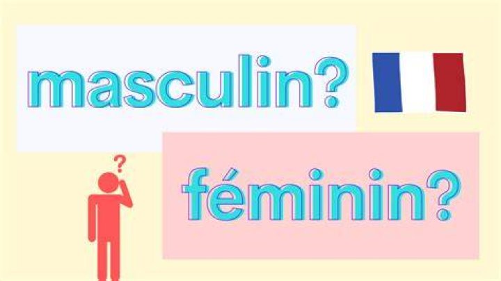 Is distrait in french masculine or feminine?