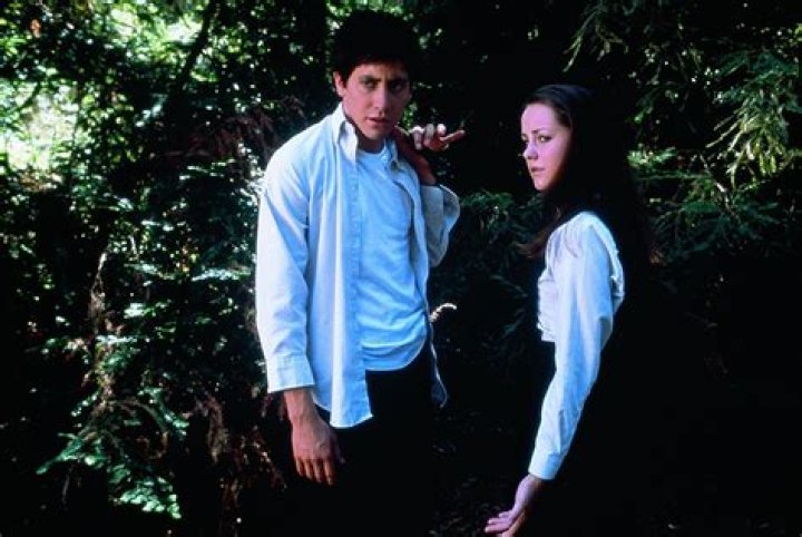 Is donnie darko on netflix?