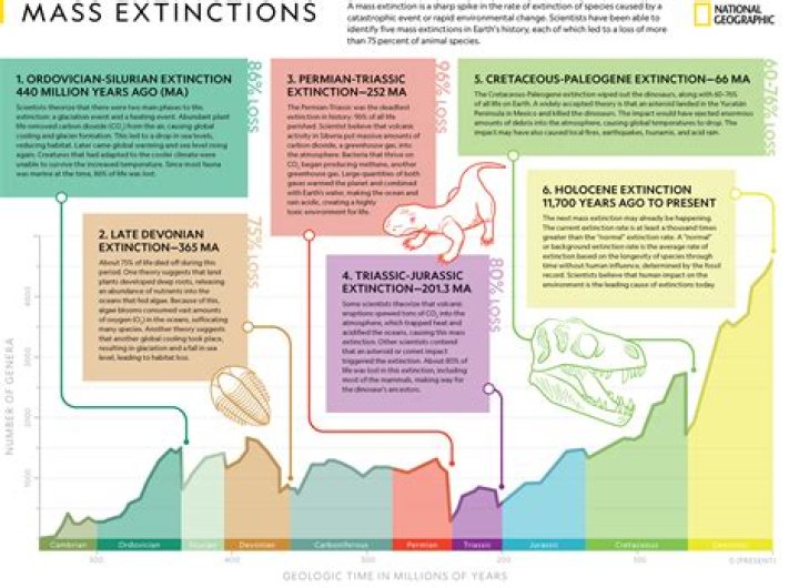 Is mass extinctions adaptive radiation?
