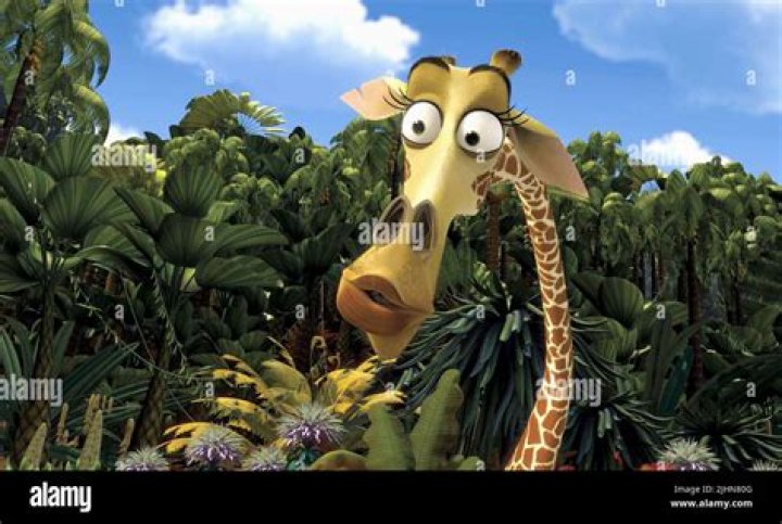 Is melman the giraffe?