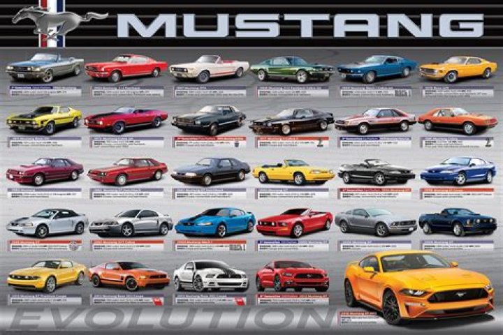 Is mustangs unlimited closing?