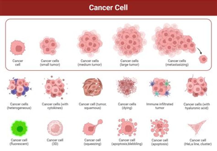 Is neoplasm cancer or not?