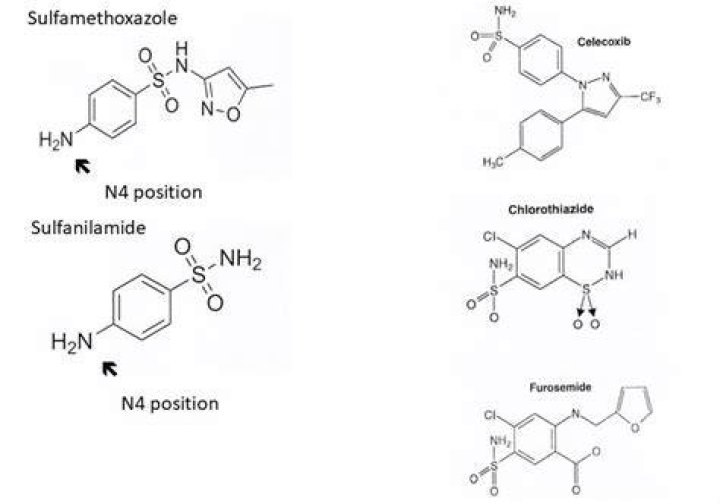 Is nitrofurantoin a sulfonamide?