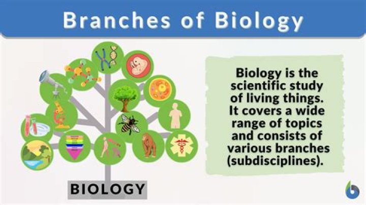 Is seismology a branch of biology?
