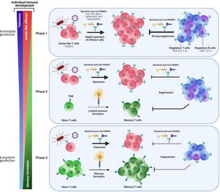 Is serology in immunology?