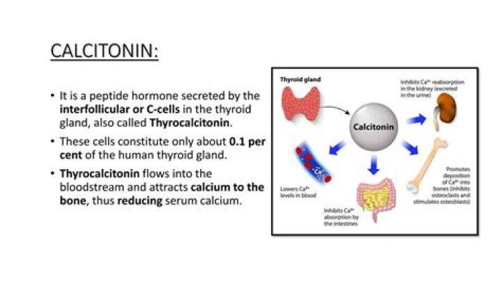 Is thyrocalcitonin a hypocalcemic hormone?