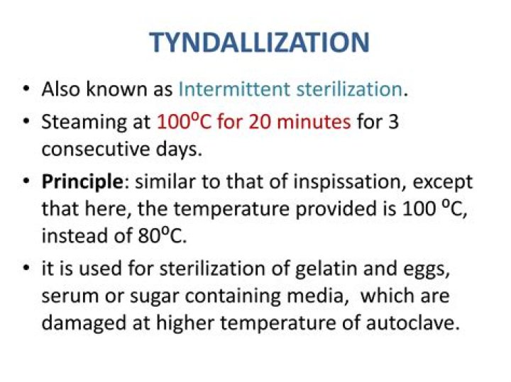 Is used to perform tyndallization?