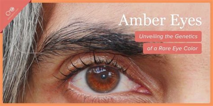 Is white amber rare?