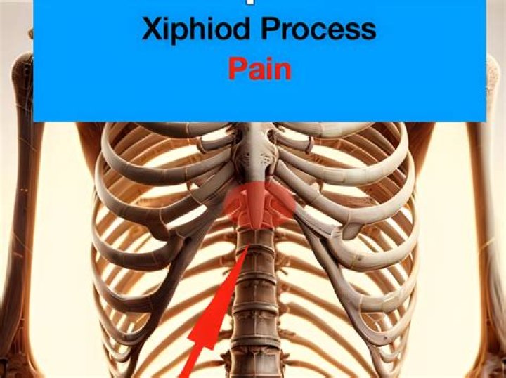 Is xiphoid a word?