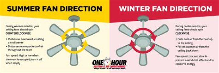 Should fan blow up or down in summer?