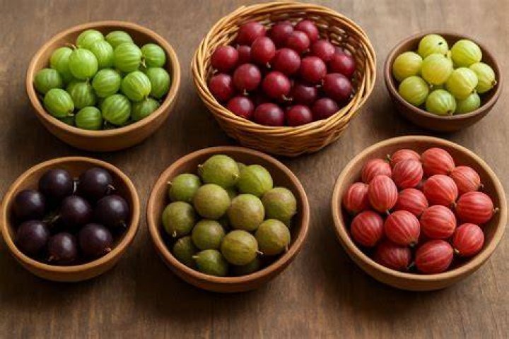 Should gooseberries be refrigerated?