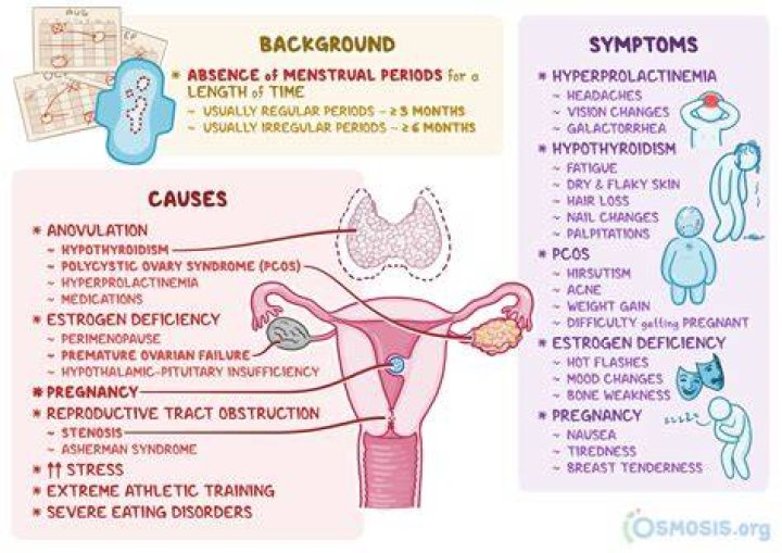 Should i see a doctor for amenorrhea?