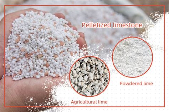 Should i till in pelletized lime?