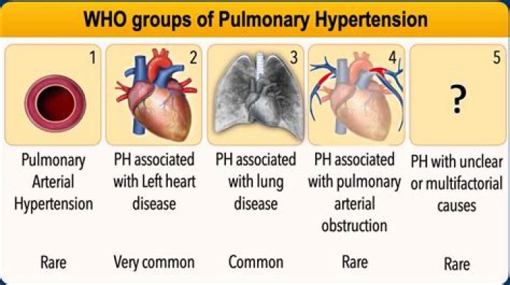 Should mild pulmonary hypertension be treated?