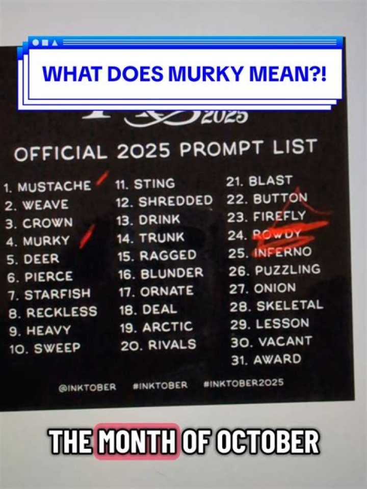 Was does murky mean?