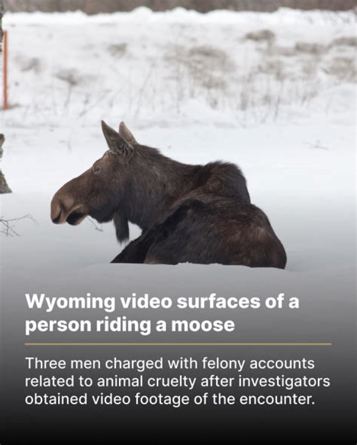 Were charged with felony?