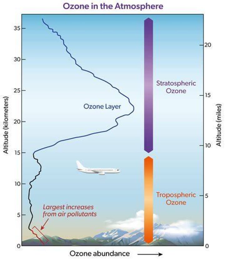 Were is ozone layer located?