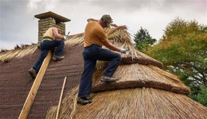 What are thatched roofs made of?