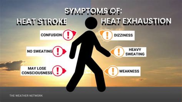 What are the warning signs of heat exhaustion?