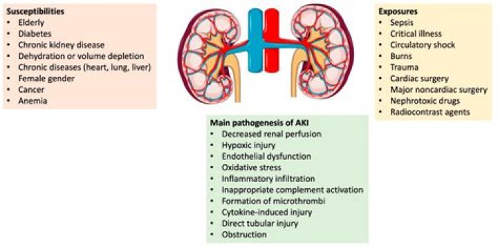 What causes uremia to develop?