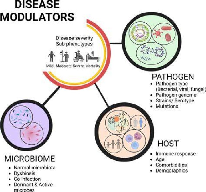 What diseases are caused by protists?